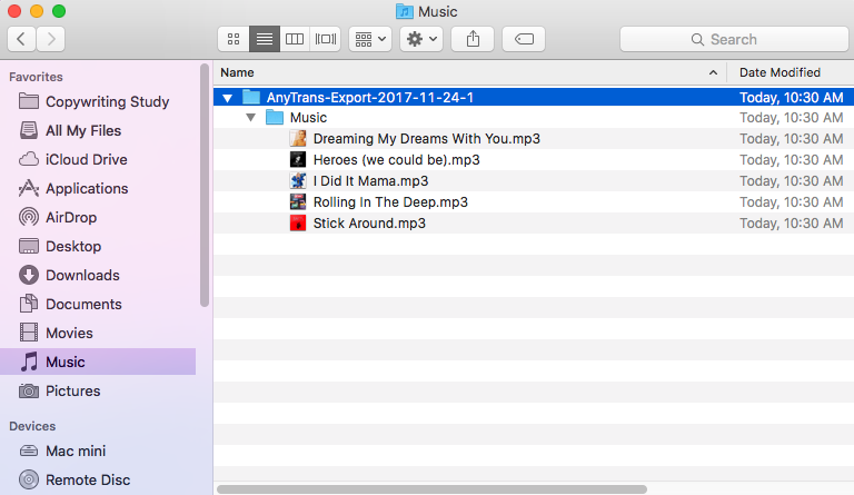 Check the Converted iTunes Songs on Mac – Screen Overview