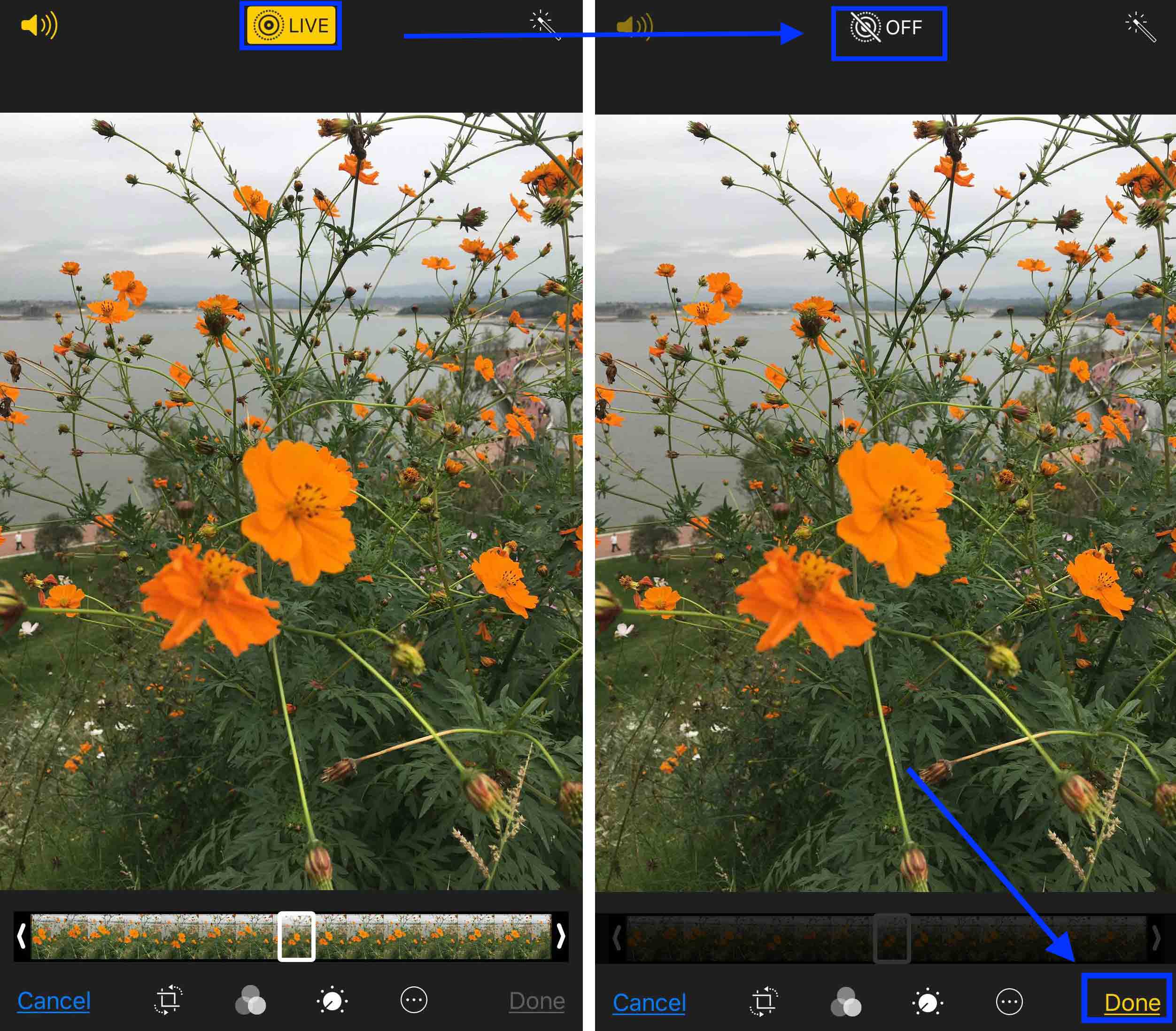 Convert Live Photo to Still by Photo Editing - Step 2