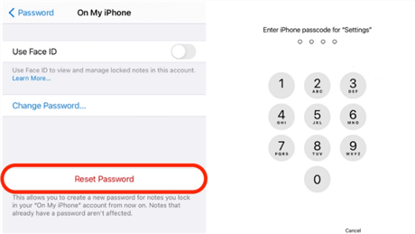 Handle Multiple Apple Note Passwords