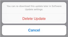 Delete iOS Update