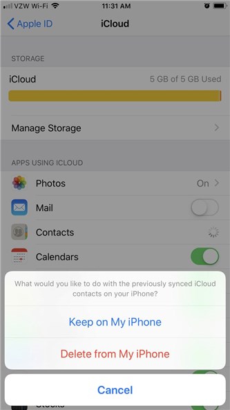 Delete iPhone Contacts from iCloud Settings