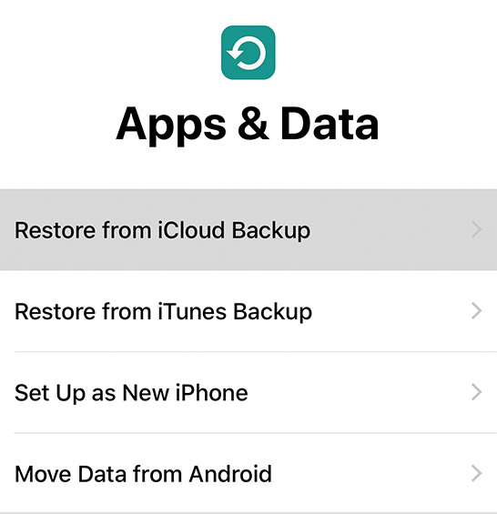 Restore an iCloud backup with Kik messages on iPhone
