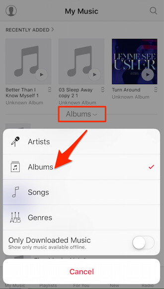 How to Remove the Free U2 Album from Your iPhone: 5 Steps