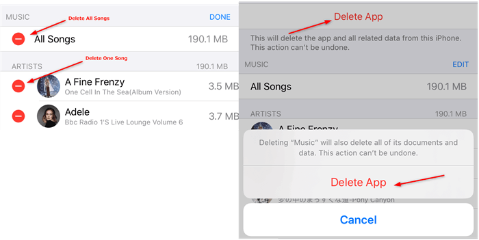Delete Single Song or the Music App