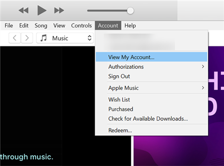 Open your Accounts in iTunes on Windows