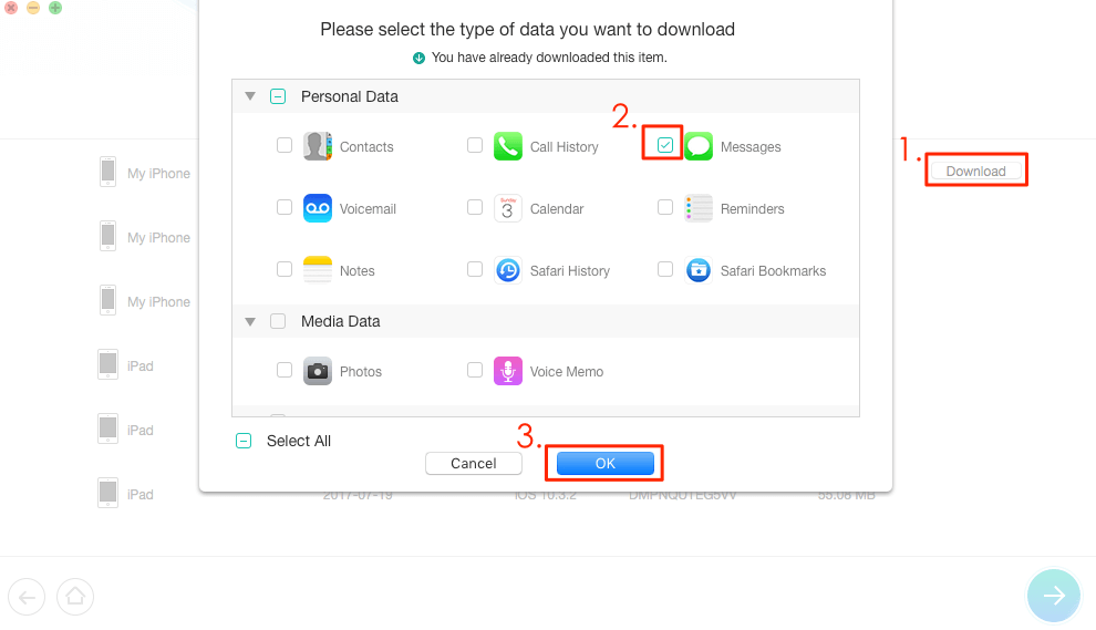 Download iCloud Backup and Select Messages to View