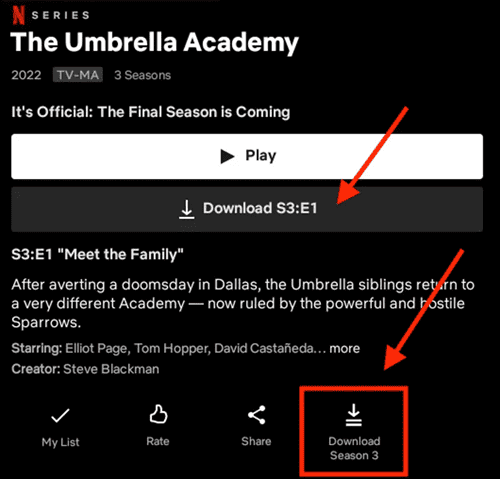 Download Netflix Videos in App