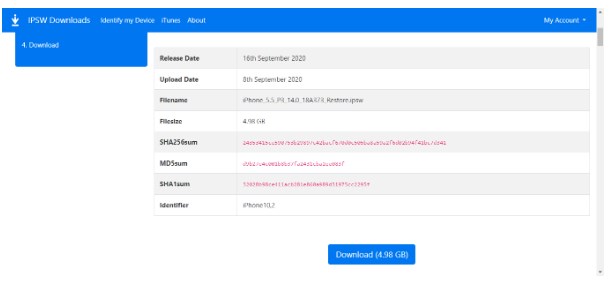 Download the iOS 14 IPSW file