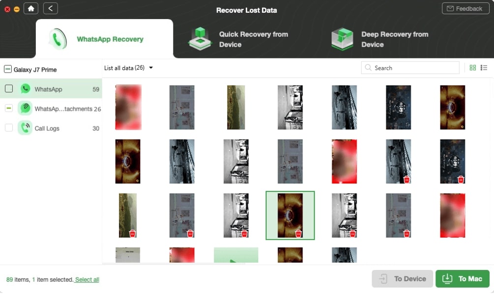 View and Select Deleted WhatsApp Photos to Recover