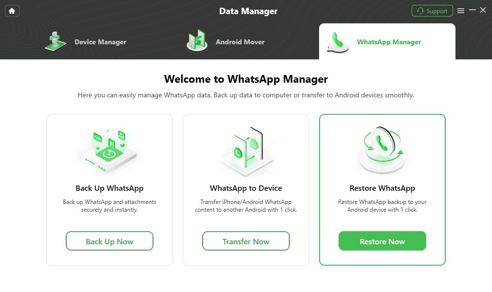 Select Restore WhatsApp and Click Restore Now