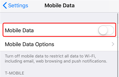 Enable Mobile Data on iPhone