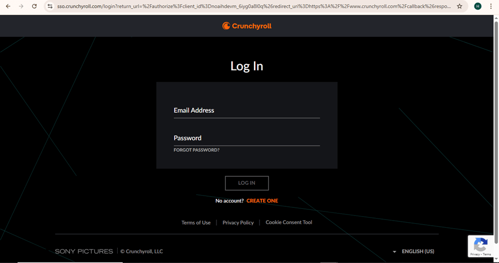 Enter Log In Details