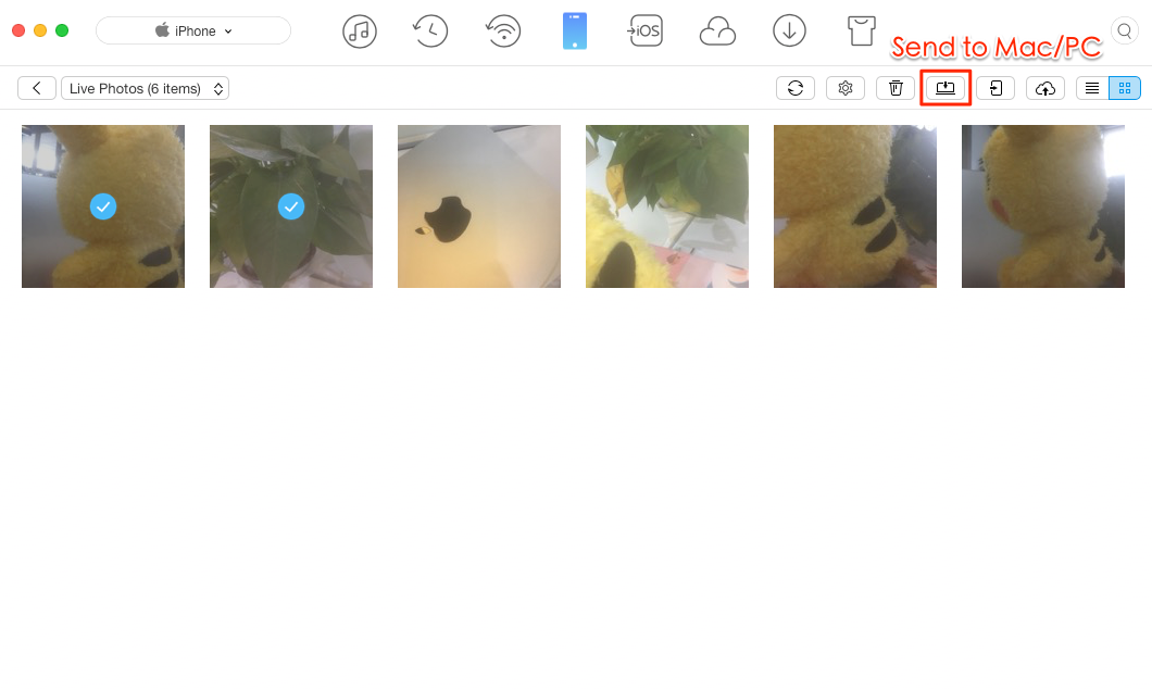 How to Export Live Photo as Video/GIF – Step 4