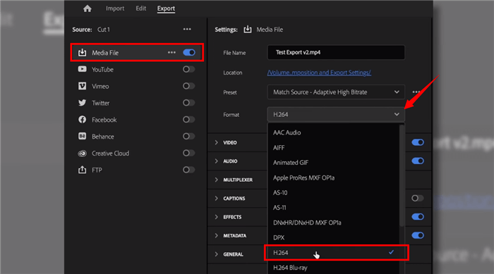 Select the H264 Format