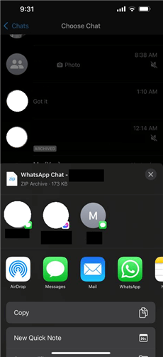 Export WhatsApp Chat via Email