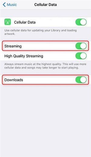 Fix Apple Music Content Not Authorized by Checking Music Settings