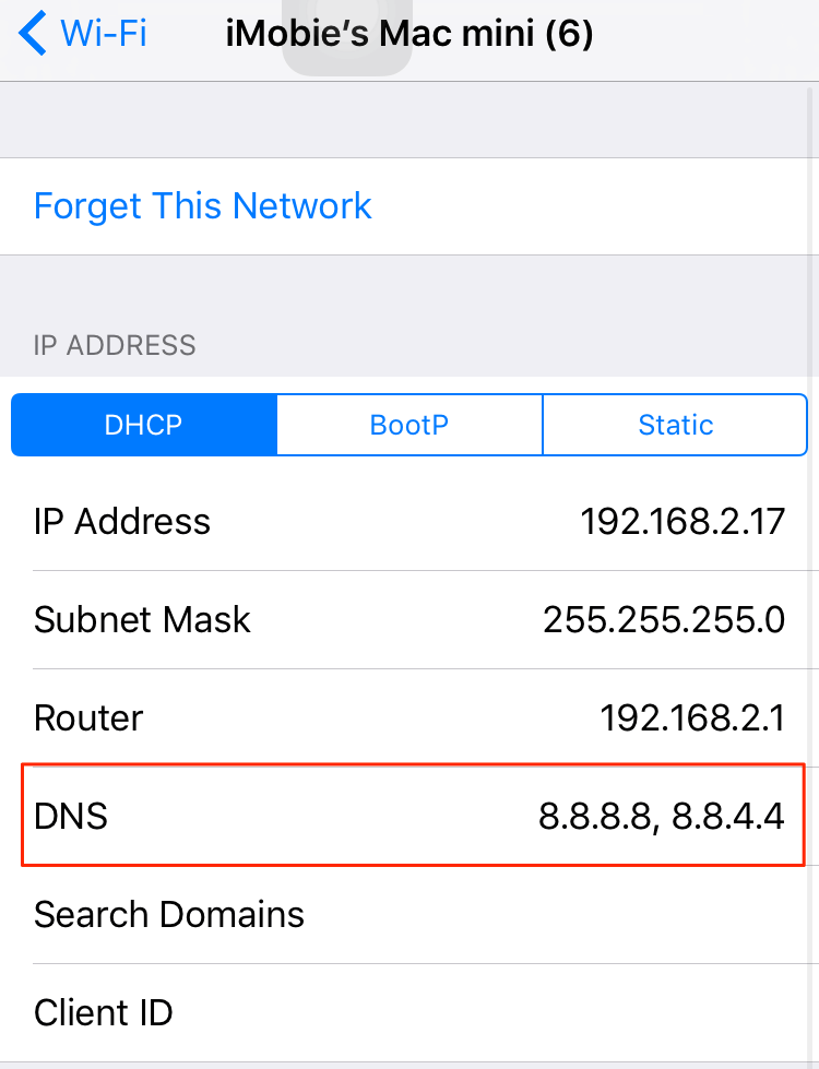 Fix iPhone iPad Wi-Fi Slow – Change DNS to Google DNS