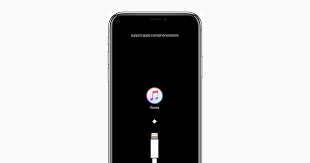iPhone Stuck on Connect to iTunes Screen