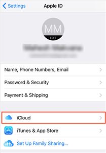 Access iCloud settings on your iPhone