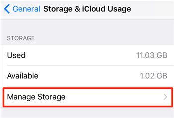 Manage storage options on your iPhone