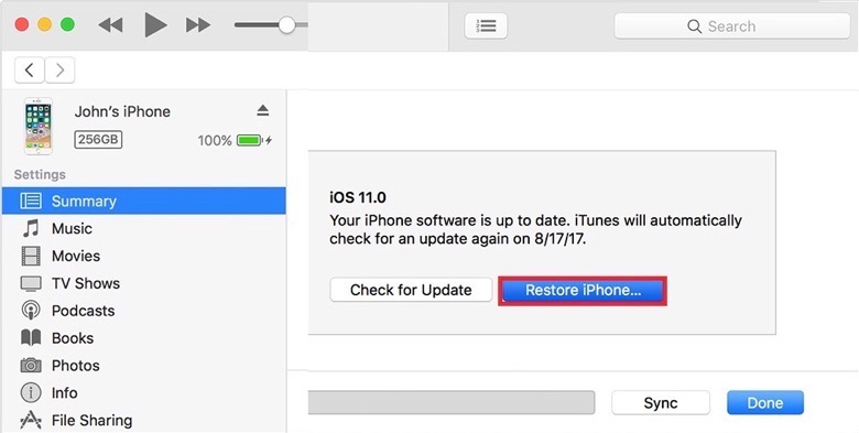 Click on Restore iPhone