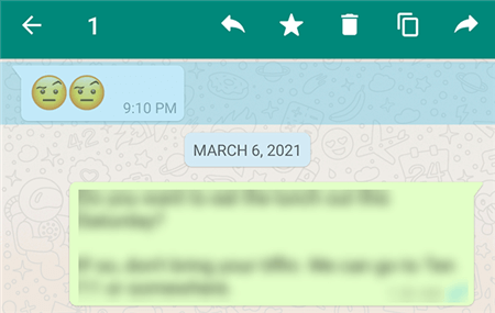 Forward Messages in WhatsApp