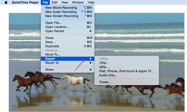 How to Use QuickTime to Convert Videos on a Mac – Step 2