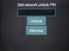 SIM Network Unlock PIN