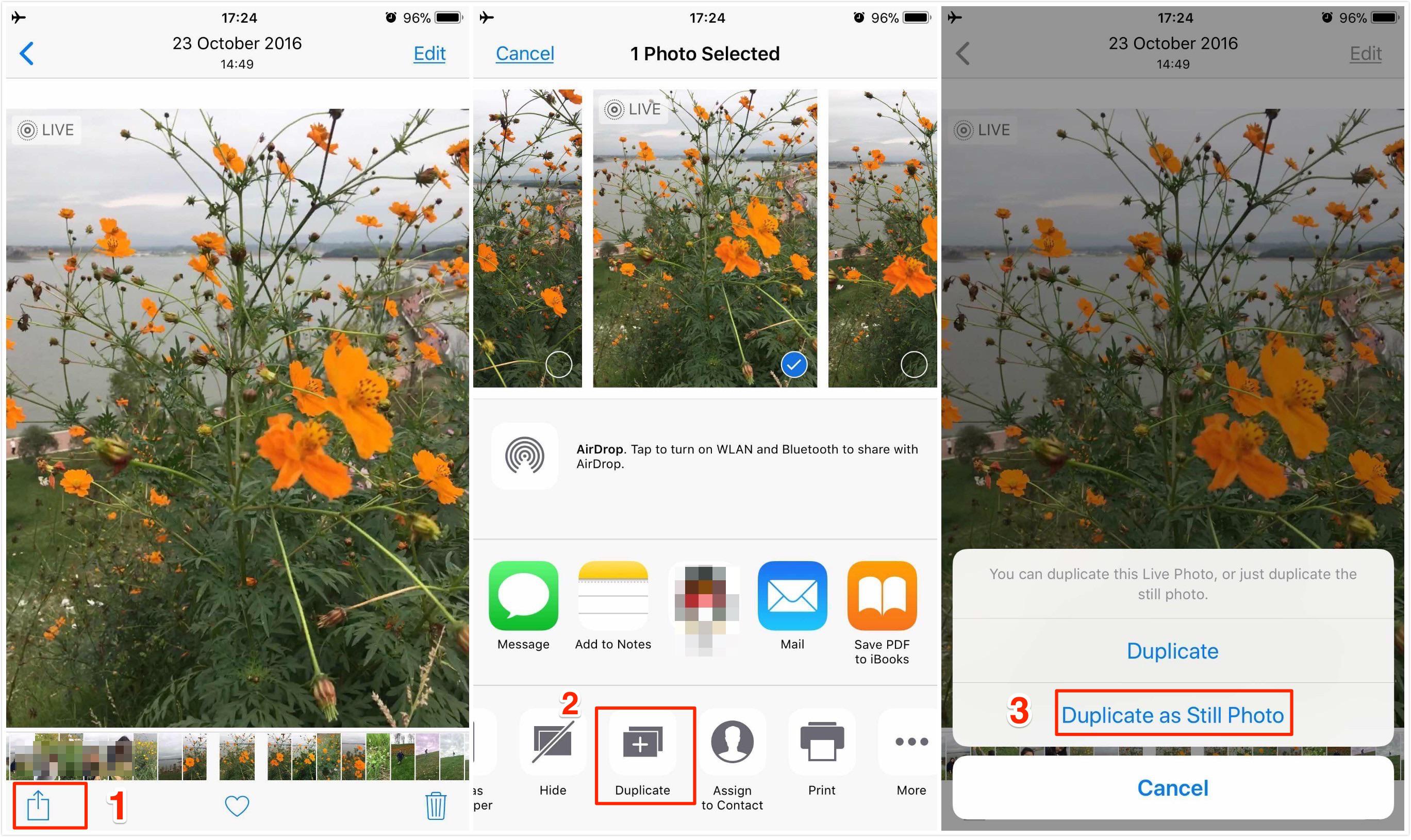 How to Get a Picture from A Live Photo - Step 3