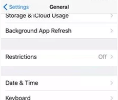 Go to Restrictions from Settings