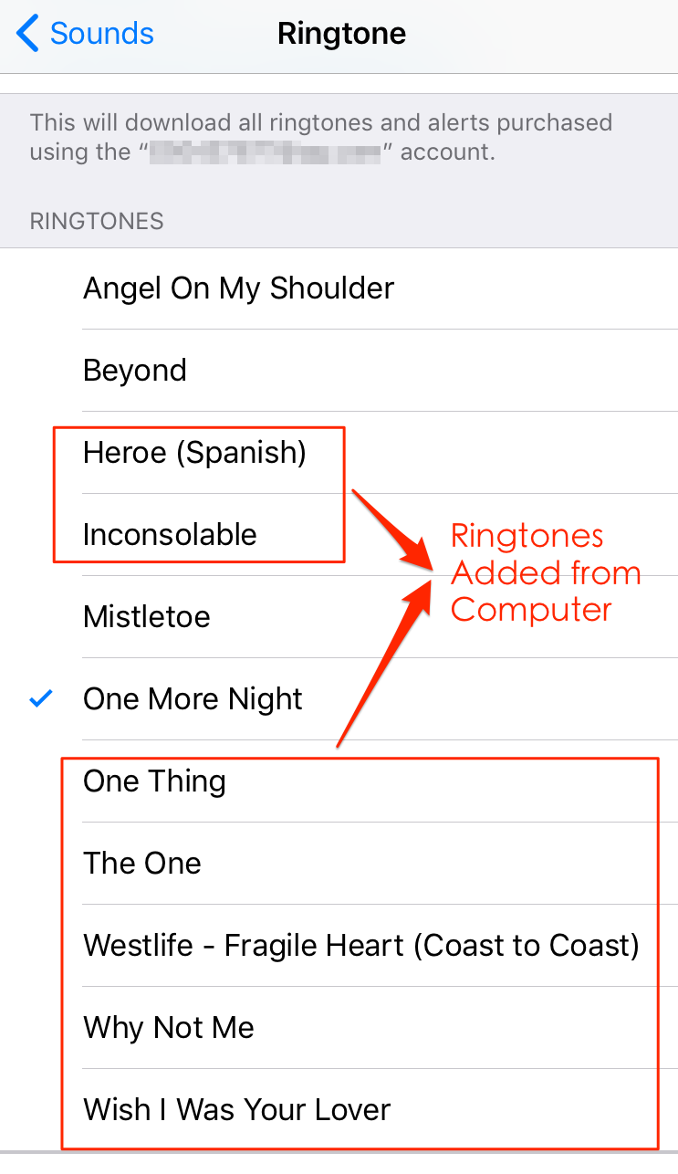 Check iPhone SE Ringtones