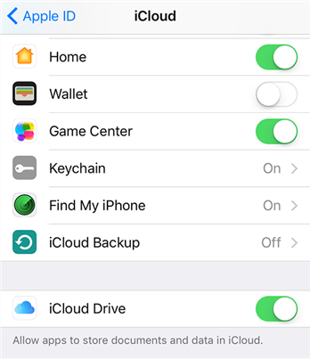 Enable the iCloud Drive option on iPhone