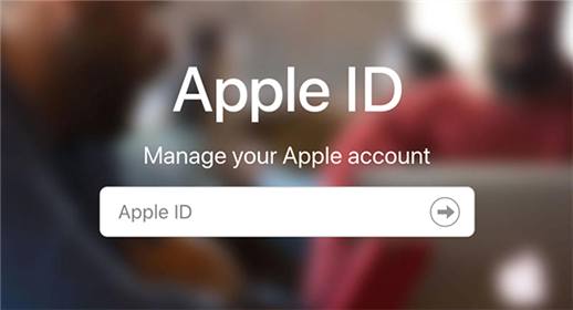 Sign-in to your Apple ID on the Apple website