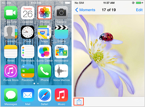 Launch Photos App to Choose One Photo and Then Tap Share Button