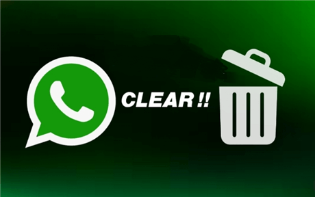 How to Clear WhatsApp Cache on Your Phone