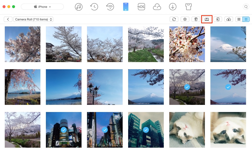 Convert HEIC to JPG on Mac/PC – Step 4