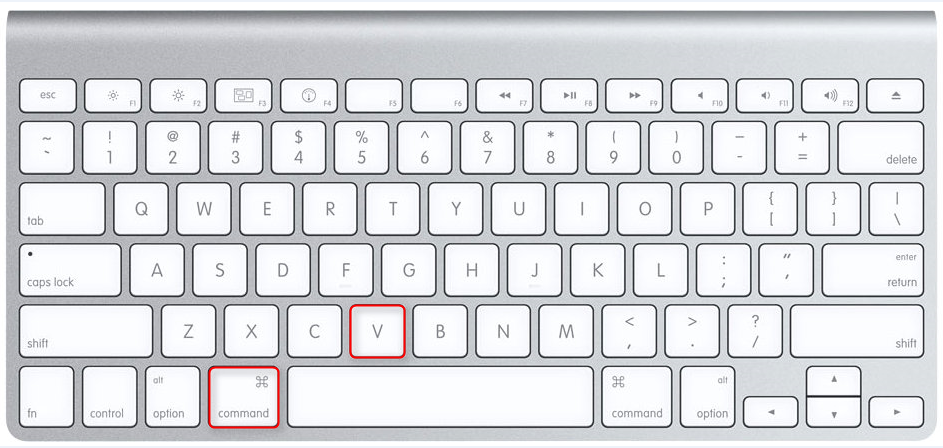 How to Copy and Paste on a Mac - Step 3