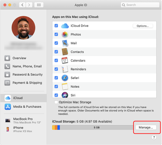 Manage iCloud storage on the Mac