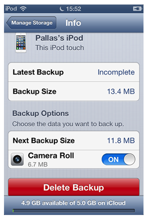 Delete iCloud Backups on iOS Device