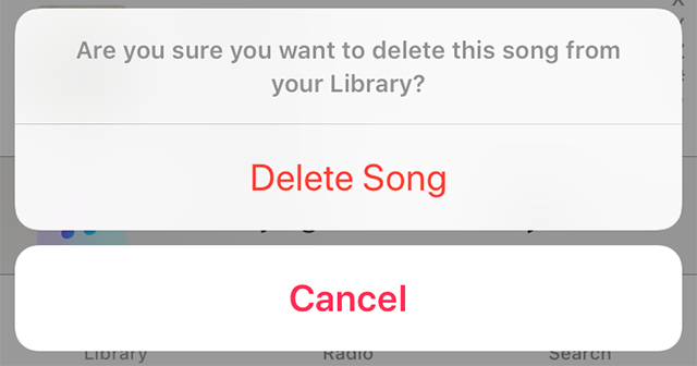 Confirm the Song Deletion Prompt
