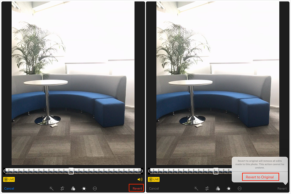 How to Revert Live Photos to Original in iOS 11 on iPhone/iPad