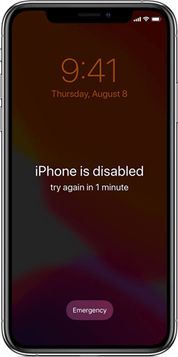 How to Enable A Disabled iPhone