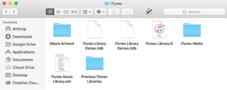 Finding The Library On Mac