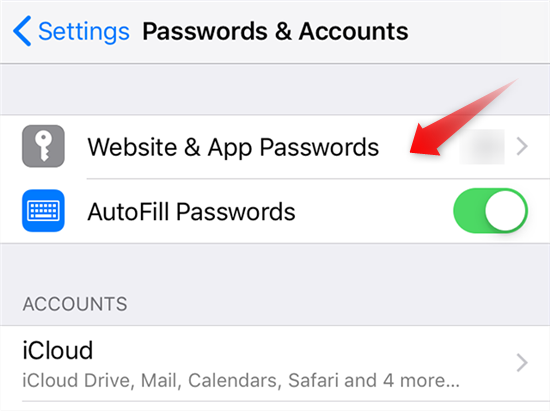 safari saved password location