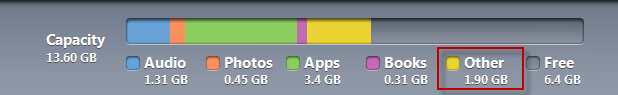 What is the Other space on my iPhone