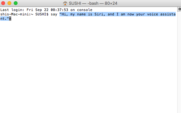 How to Make Siri Say What You Type on Mac - Step 3
