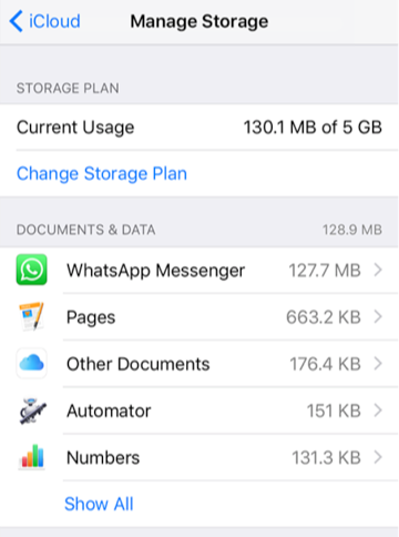 Manage iCloud Storage on iPhone