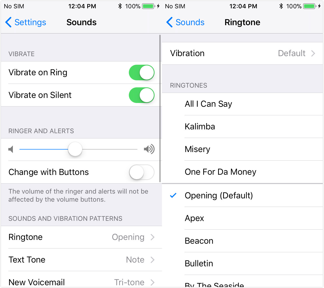 voice ringtones on iphone