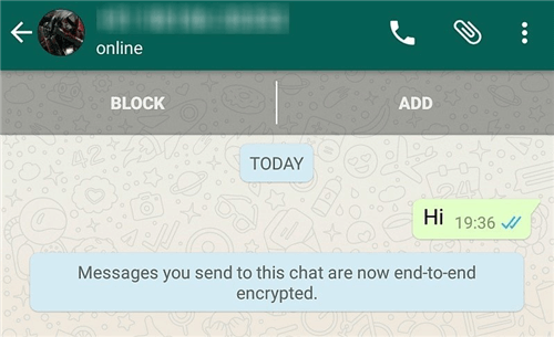 How to Read Encrypted WhatsApp Messages