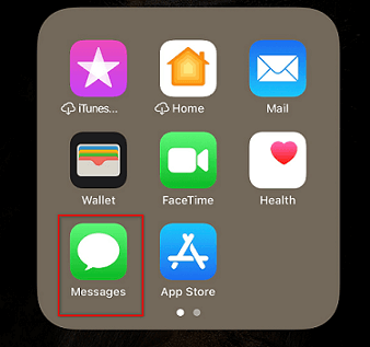 Open Messages App on iPhone